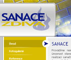 Sanace zdiva